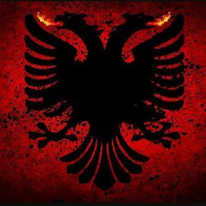 Meet your Posher, Ridvan